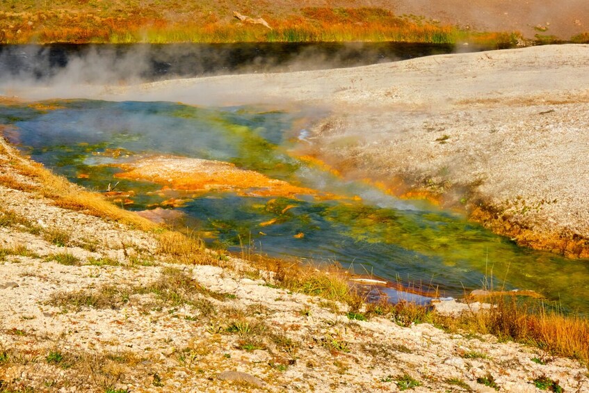 Yellowstone Grand Prismatic Spring Self-Guided Walking Tour