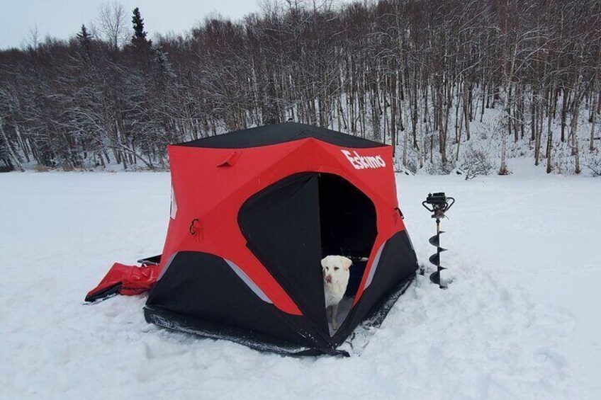 Anchorage Ice Fishing Adventure