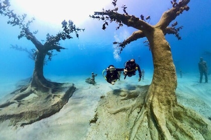 Parque submarino Musan con guía privado - no se necesita certificación