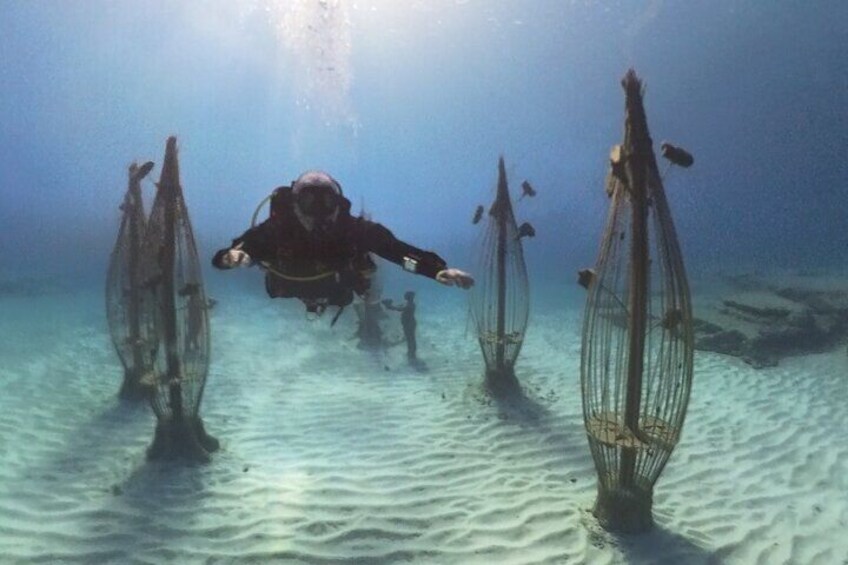 Private Scuba Dive / Try Dive at Musan Underwater Park 