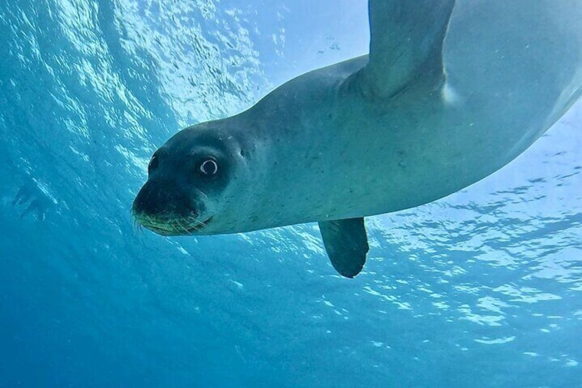 Private Scuba Dive / Try Dive at Musan Underwater Park 