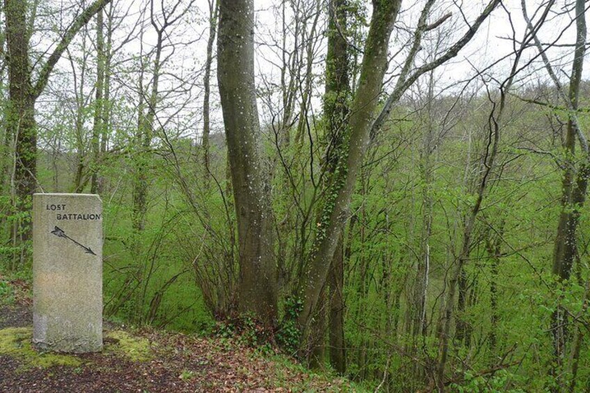 The ravine of the Lost Battalion 