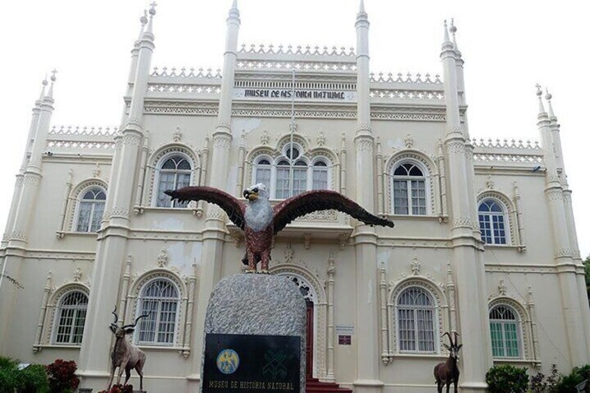 Museum
