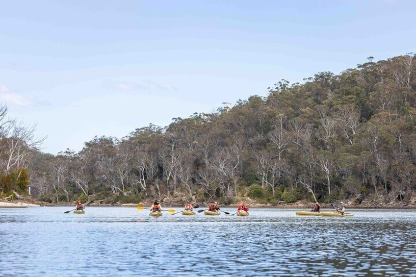 3 Hour Aboriginal Culture Tour with Kayaking in Coraki Drive