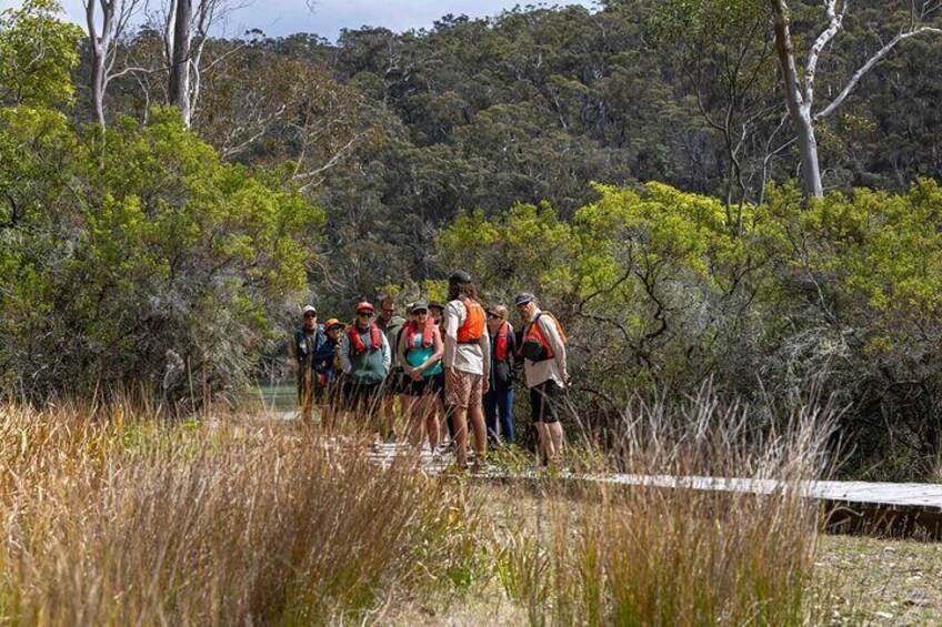 3 Hour Aboriginal Culture Tour with Kayaking in Coraki Drive