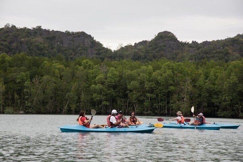 Half Day Private Kayaking Tour in Langkawi