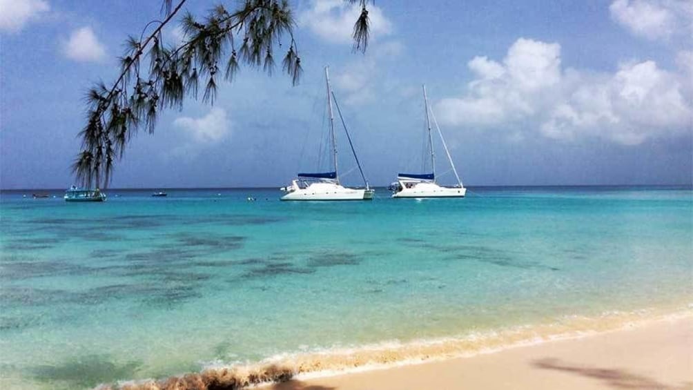 Sailing Cruises in Barbados