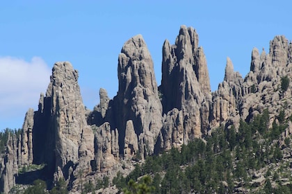 Rapid City: Black Hills parken, monumenten en Mount Rushmore