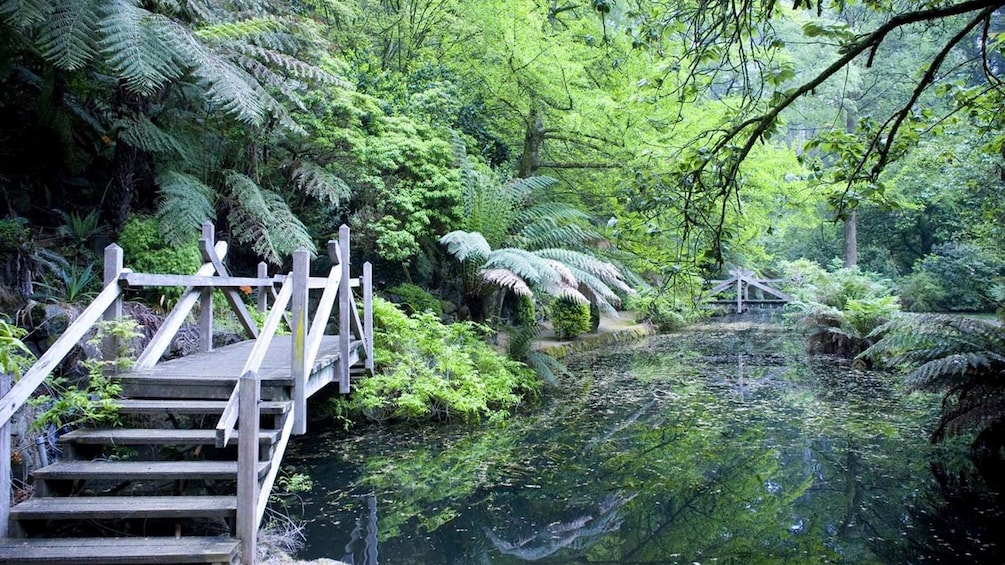 River and forest in Melbourne