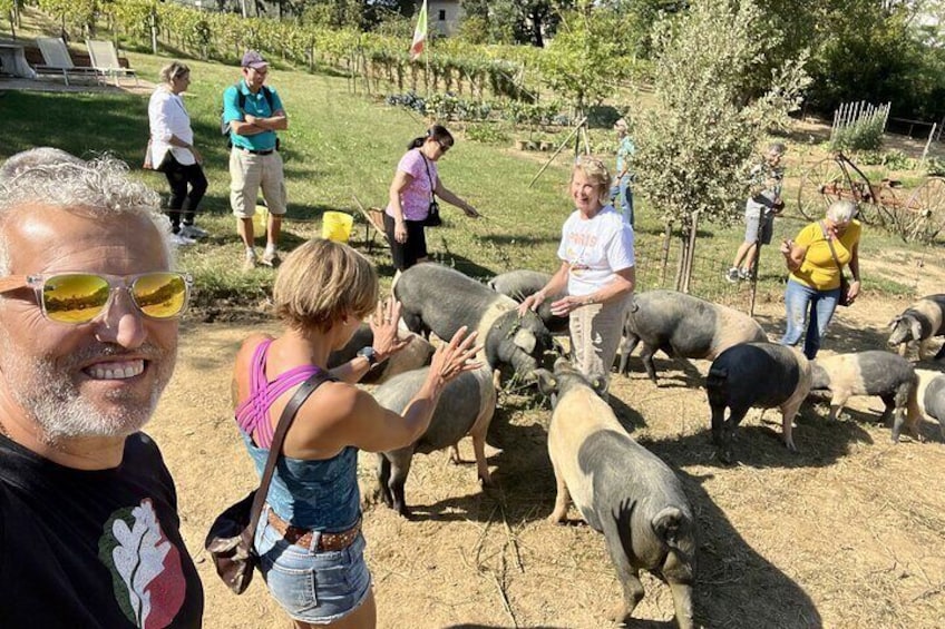 Horseback riding in the Tuscan countryside and lunch on the farm