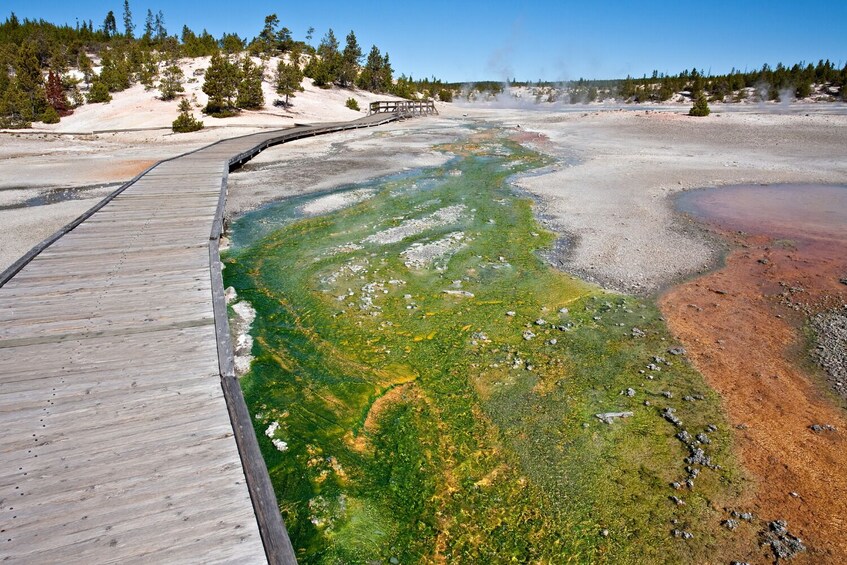 Old Faithful, West Thumb, Grand Prismatic Audio Tours