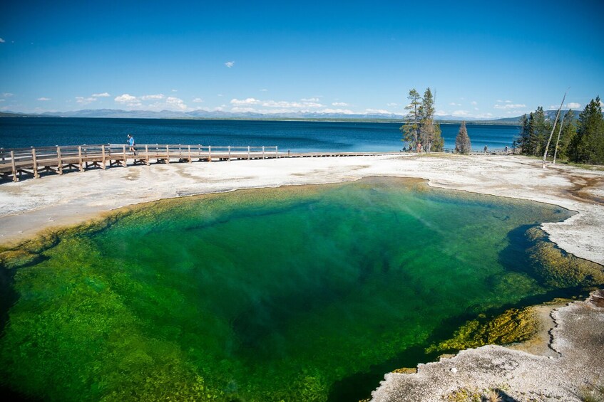 Old Faithful, West Thumb, Grand Prismatic Audio Tours