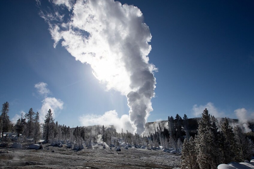 Old Faithful, West Thumb, Grand Prismatic Audio Tours