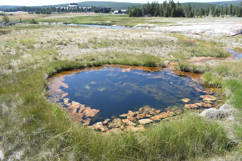 Old Faithful, West Thumb, Grand Prismatic Audio Tours