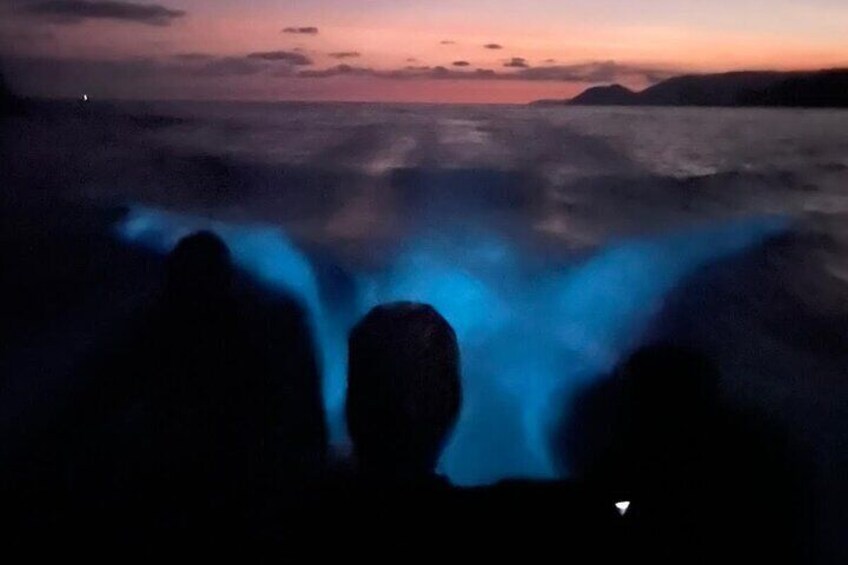 Bioluminescence Experience in Paquera with Dinner Included