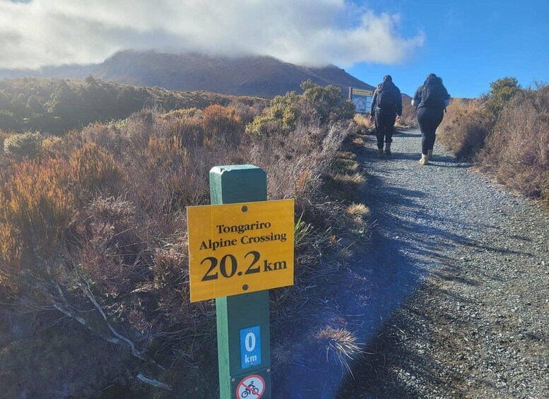 Picture 8 for Activity Tongariro Crossing: Ketetahi Park and Ride Shuttle to Start