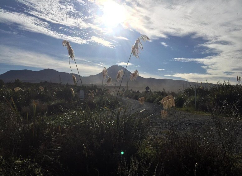 Picture 4 for Activity Tongariro Crossing: Ketetahi Park and Ride Shuttle to Start