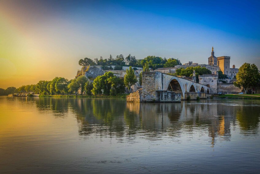 Avignon City of Popes & Wine Tasting Private Full Day Tour