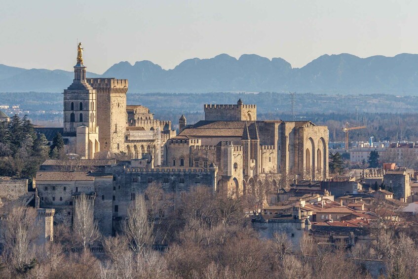 Picture 1 for Activity Avignon City of Popes & Wine Tasting Private Full Day Tour