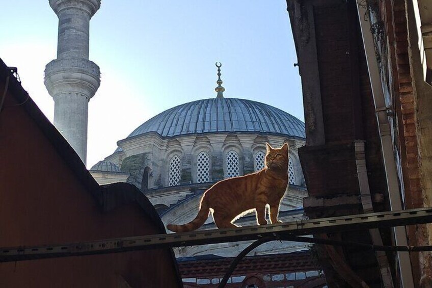 Photo Workshops in Hidden Corners of Istanbul Grand Bazaar