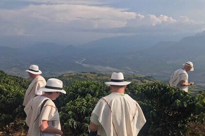 Von Medellin aus: Ganztägige private Fredonia Kaffee Tour