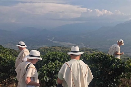 From Medellin: Full day Fredonia coffee private tour