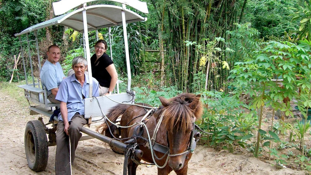 Horse Carriage Full-Day Tour in Nha Trang, Vietnam