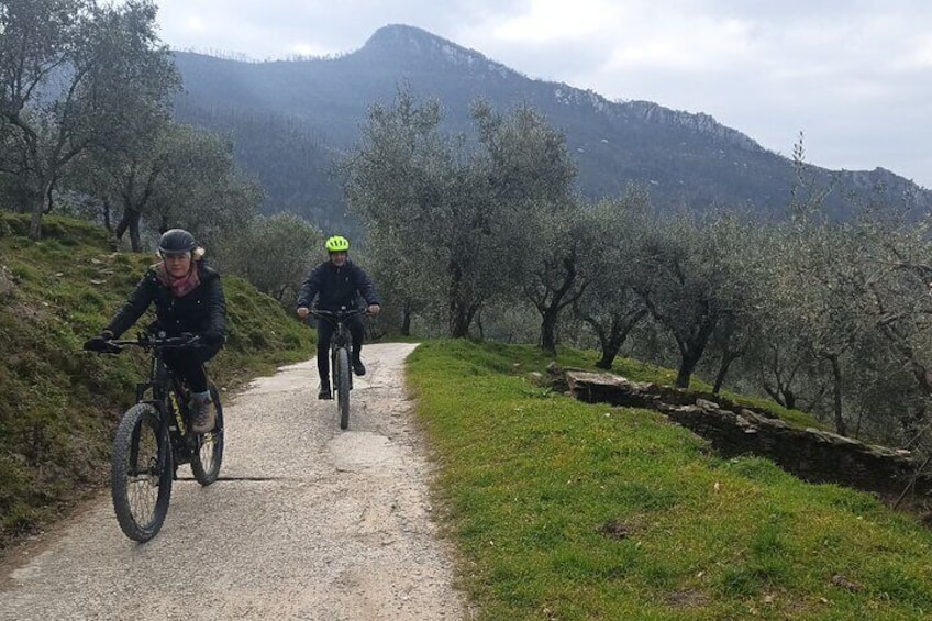 2-hour tour to Rocca della Verruca by E-bike