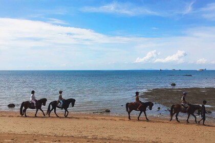 กระบี่: ขี่ม้าบนชายหาด