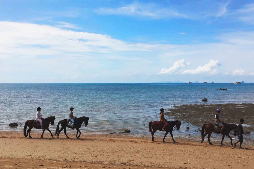 Picture 2 for Activity Krabi: Horseback Riding on the Beach