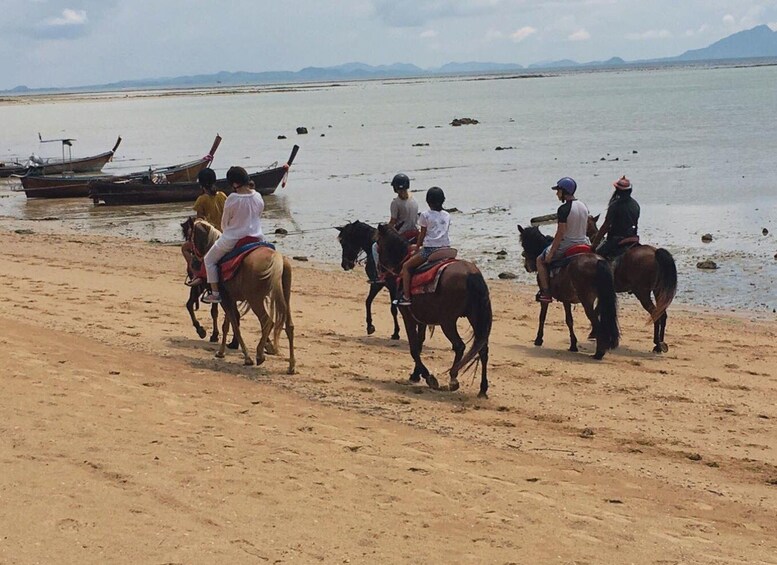 Picture 4 for Activity Krabi: Horseback Riding on the Beach