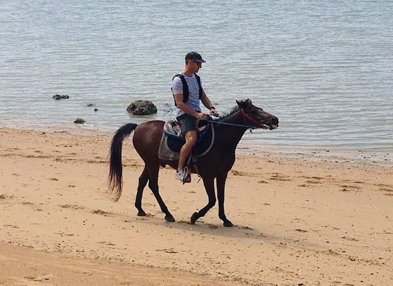Picture 3 for Activity Krabi: Horseback Riding on the Beach