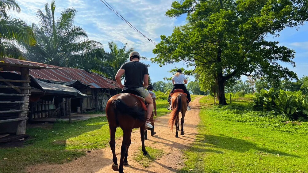 Picture 3 for Activity Krabi: Horseback Riding on the Beach