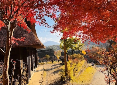 โตเกียว: ทัวร์ภูเขาไฟฟูจิ ทะเลสาบคาวากุจิโกะ เจดีย์ และสวนโออิชิ