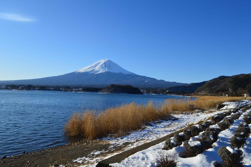 Picture 7 for Activity Tokyo: Mount Fuji and Lake Kawaguchi Scenic 1-Day Bus Tour