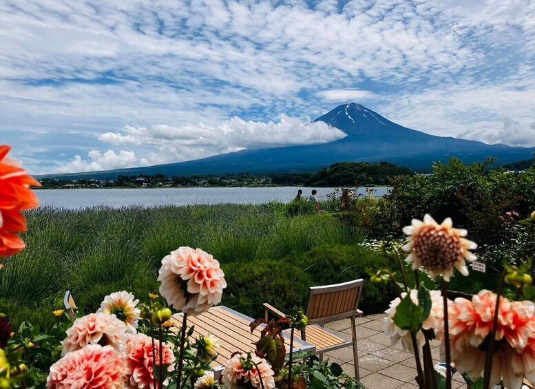 Picture 3 for Activity Tokyo: Mount Fuji and Lake Kawaguchi Scenic 1-Day Bus Tour