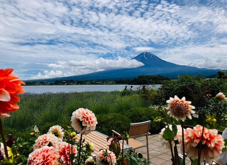 Picture 7 for Activity Tokyo: Mount Fuji and Lake Kawaguchi Scenic 1-Day Bus Tour