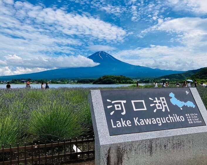 Picture 13 for Activity Tokyo: Mount Fuji and Lake Kawaguchi Scenic 1-Day Bus Tour