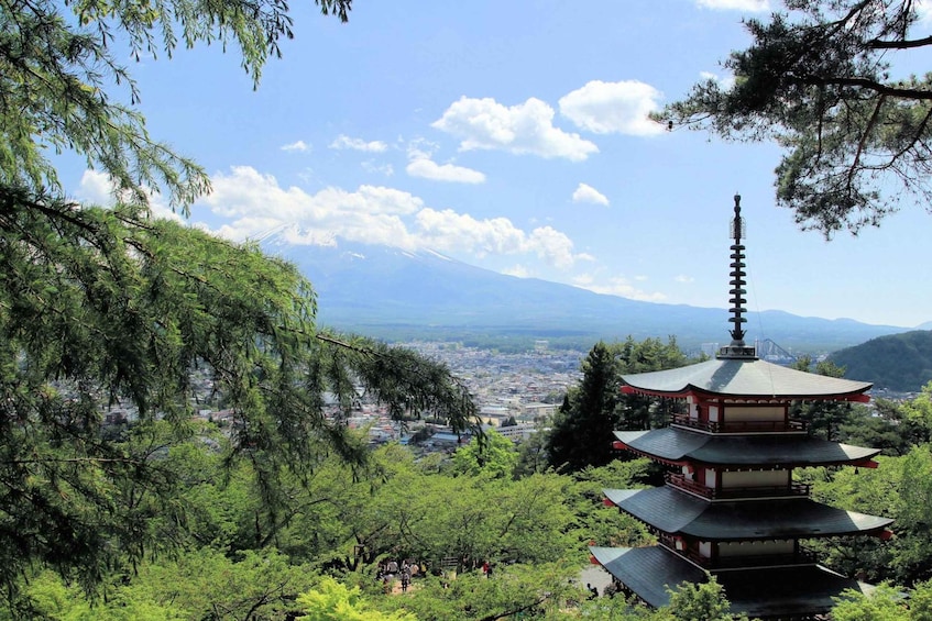 Picture 51 for Activity Tokyo: Mount Fuji and Lake Kawaguchi Scenic 1-Day Bus Tour