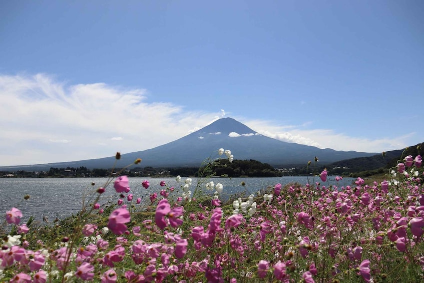 Picture 52 for Activity Tokyo: Mount Fuji and Lake Kawaguchi Scenic 1-Day Bus Tour