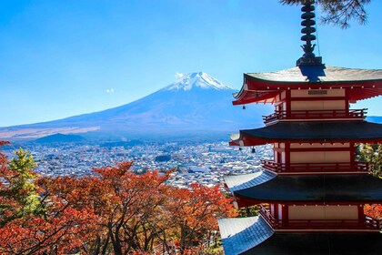 Tokyo: Endagstur med buss til Fuji-fjellet og Kawaguchi-sjøen i naturskjønn...