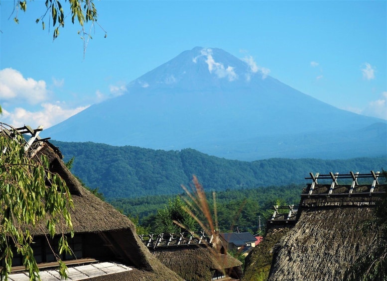 Picture 43 for Activity Tokyo: Mount Fuji and Lake Kawaguchi Scenic 1-Day Bus Tour