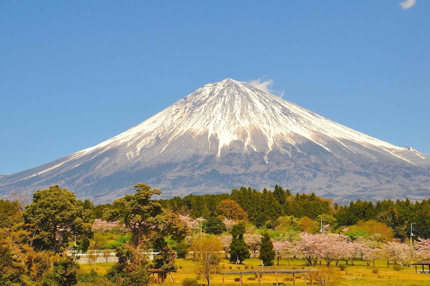 Picture 20 for Activity Tokyo: Mount Fuji and Lake Kawaguchi Scenic 1-Day Bus Tour