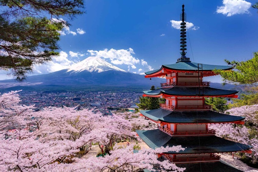 Picture 22 for Activity Tokyo: Mount Fuji and Lake Kawaguchi Scenic 1-Day Bus Tour