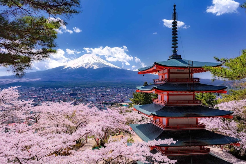 Picture 25 for Activity Tokyo: Mount Fuji and Lake Kawaguchi Scenic 1-Day Bus Tour