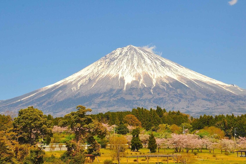 Picture 21 for Activity Tokyo: Mount Fuji and Lake Kawaguchi Scenic 1-Day Bus Tour