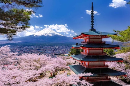 東京：富士山與河口湖風景一日遊巴士遊覽