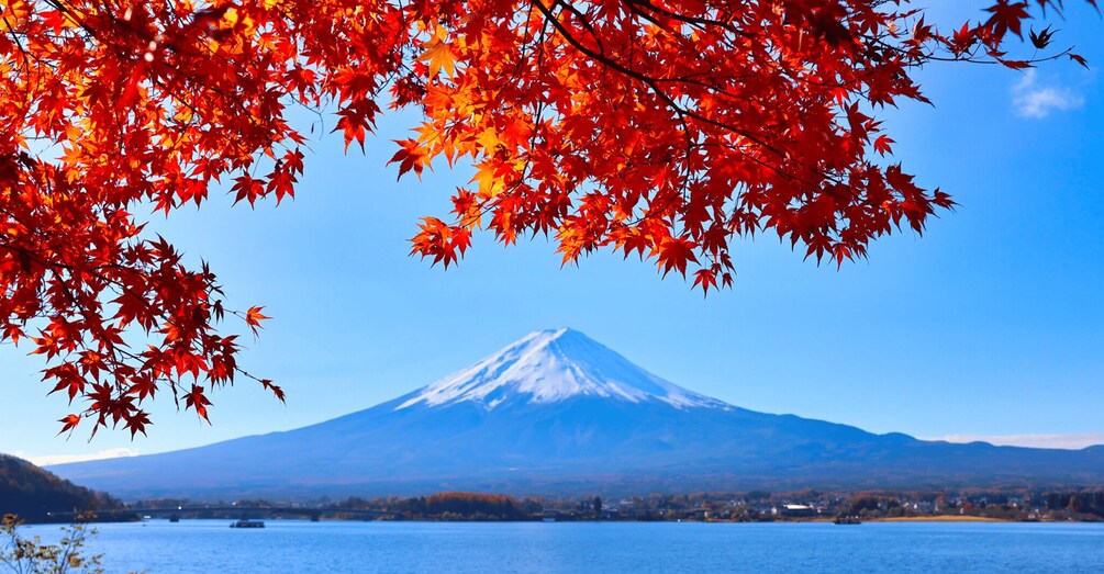 Picture 1 for Activity Tokyo: Mount Fuji and Lake Kawaguchi Scenic 1-Day Bus Tour