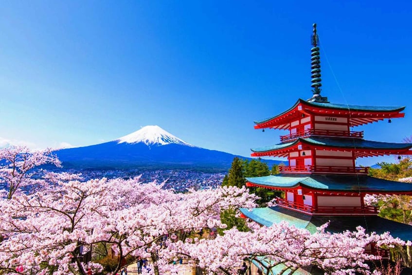 Mt.Fuji,LakeKawaguchiko,TheFiveStoryPagoda,OishiPark w/Lunch