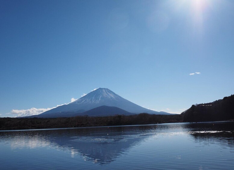 Picture 45 for Activity Tokyo: Mount Fuji and Lake Kawaguchi Scenic 1-Day Bus Tour
